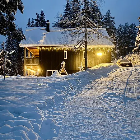 Holiday Cabin With Hot Tub And Billiard Table Villa Dokka